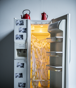 photo de l'installation chiconnade